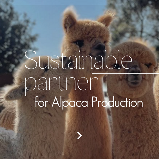 A Sustainable Partner for Alpaca Wool Production